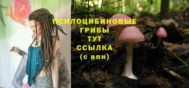 Псилоцибиновые грибы Magic Shrooms  Мирный 